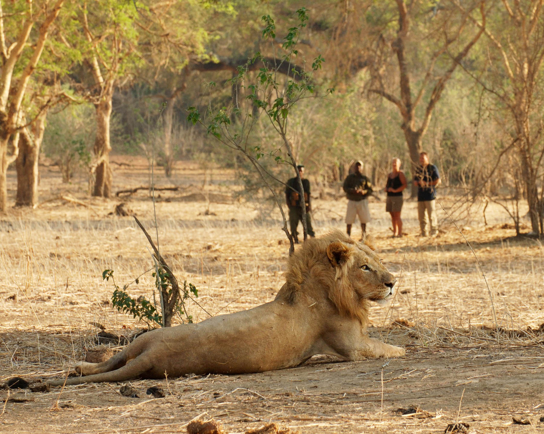 Africa Adventure Safaris