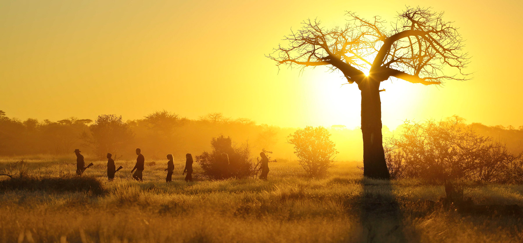 Tanzania Walking Safaris